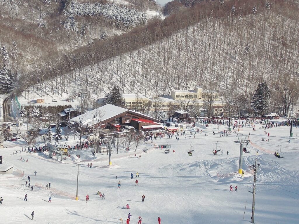 さっぽろばんけいスキー場 - POWDER SNOW HOKKAIDO