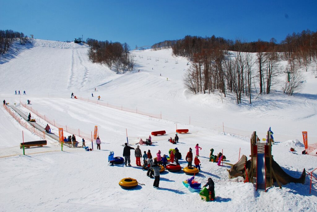 SAPPORO TEINE - POWDER SNOW HOKKAIDO