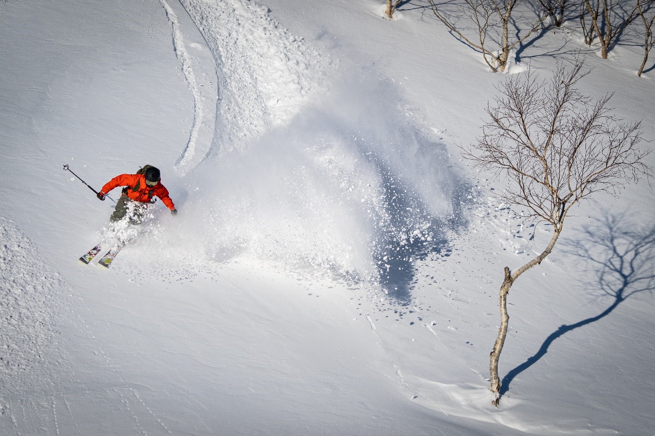 POWDER SNOW HOKKAIDO - Japanese skiing & snowboarding destinations.